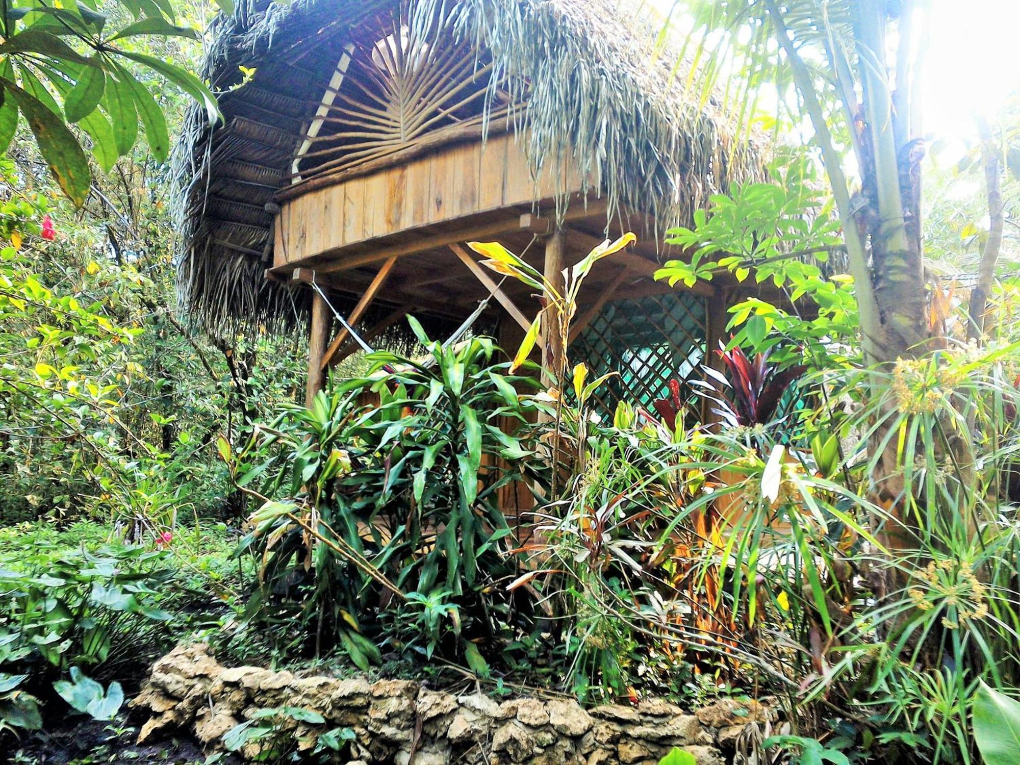 El Hotelito Perdido Izabal Buitenkant foto